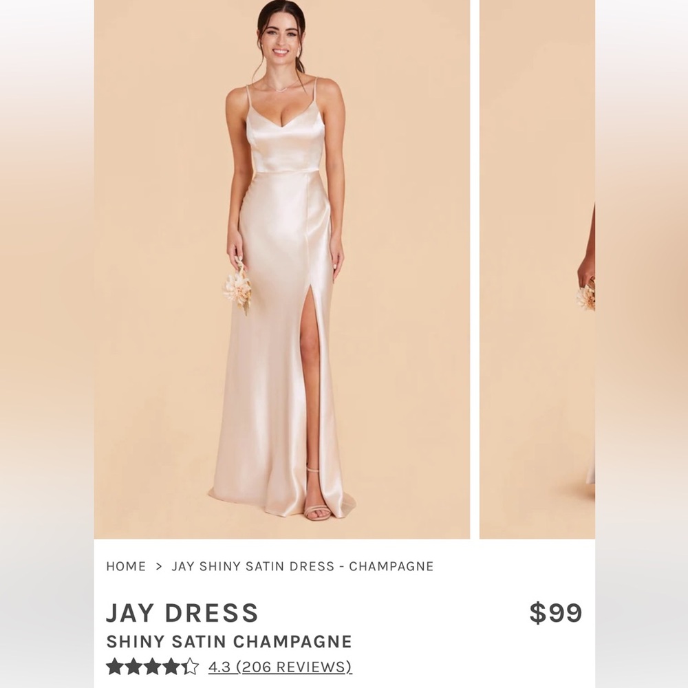 Birdy Grey Jay Shiny Satin Dress in Champagne